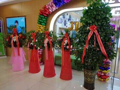 齊齊哈爾市金色雨林開業慶典圓滿成功，專業服務鑄就輝煌時刻